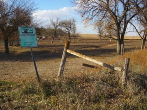 Suicide grave