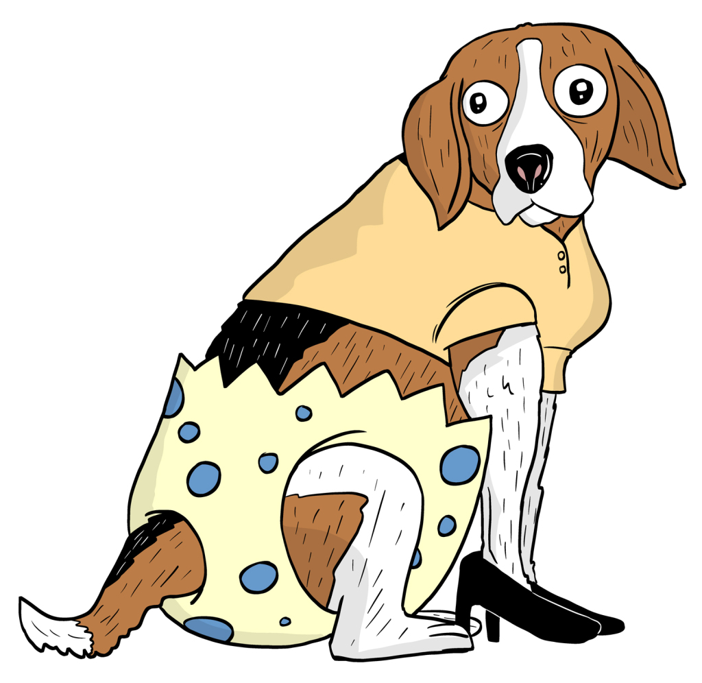 dog