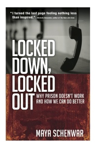 Locked Down, Locked Out Front Cover (3)