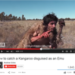 Some Questions For Andrew Ucles, Who (Maybe) Catches Animals Bare-Handed On YouTube