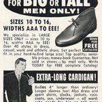 The Cardigan