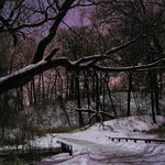 Adventures in Immigration: Winter Blues and Culture Shock