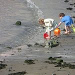 This Mom’s Guide to Ethical Internet Sharing