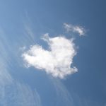Toast Points for the Week of February 20th