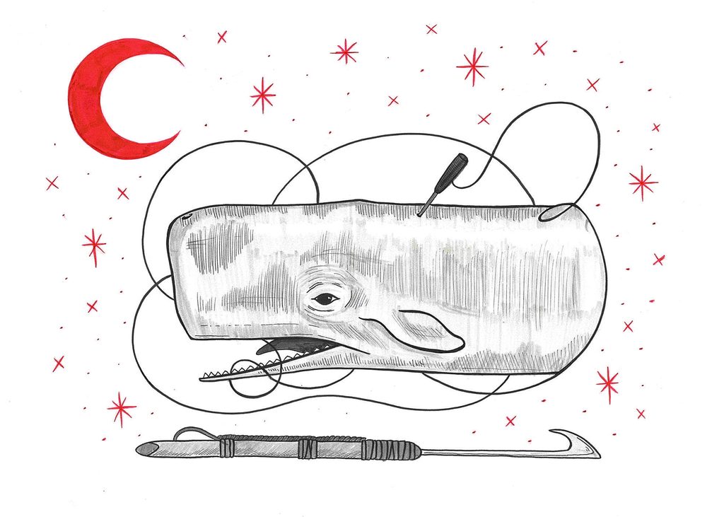 Toast Whale
