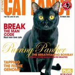 <em>Playboy</em> or <em>Cat Fancy</em>?