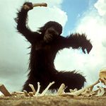 Gal Science: An Archaeologist on Bone Health