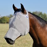Link Roundup!