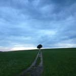 A Country Called My Mother