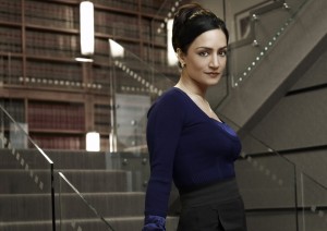 THE GOOD WIFE