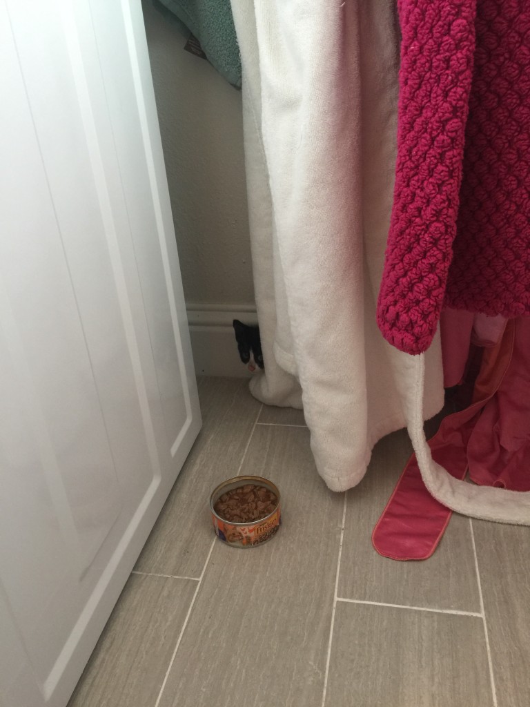 IMG_0620