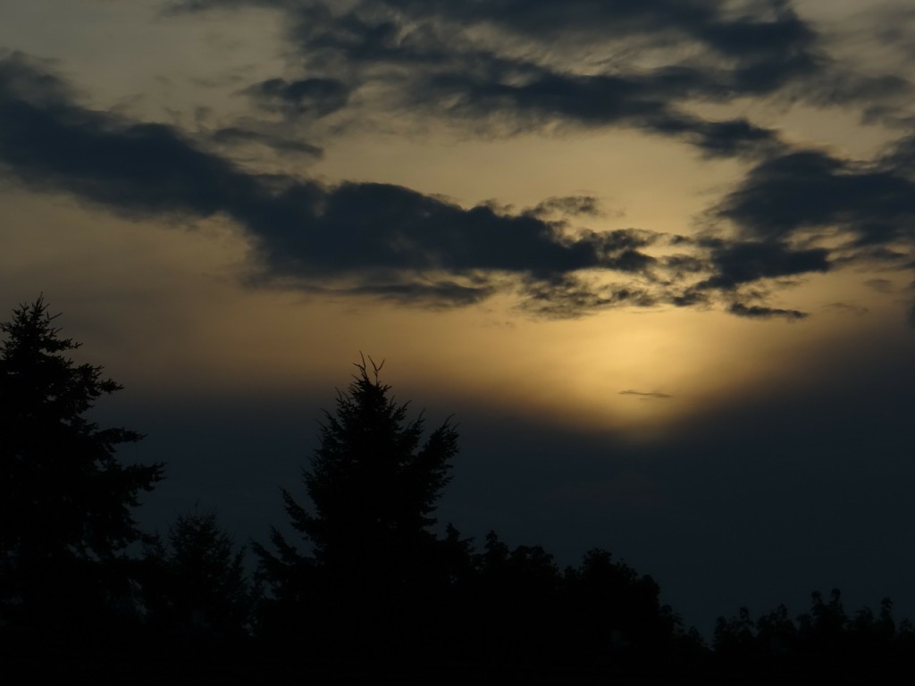 abendstimmung-175090_1280