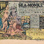 Everything You Can Buy in a 1977 <em>Archie</em> Comic, in Order of Desirability