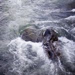A Woman Like Water