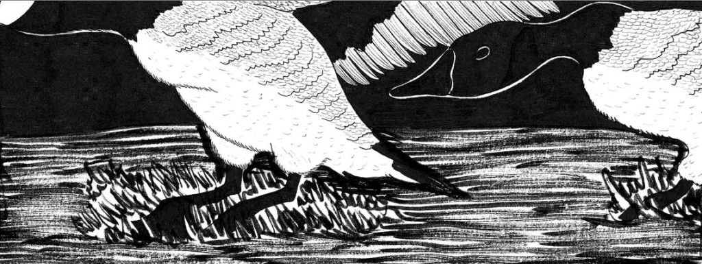 Fugue geese