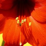 The Names of Things
