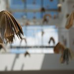 Why I Teach Diverse Literature