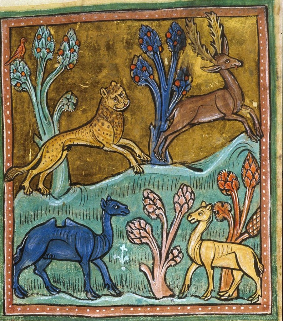 Medieval animas: Leopard and deer, camel.Scan of 2 d image in the public domain believed to be free to use without restriction in the US.