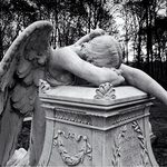 The Five Stages of Beloved TV Show Cancellation Grief