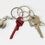 Disrupting Domesticity: Search for the Perfect Key