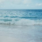 Actual Beach Reads: <em>Talk</em> and <em>The Invaders</em>
