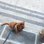 Link Roundup!