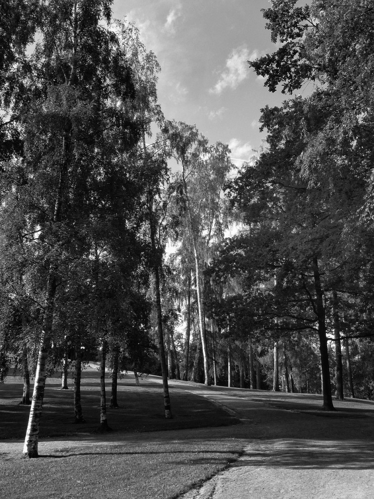 helsinki-116130_1280