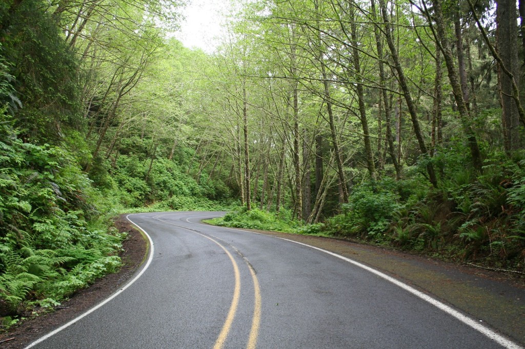 road-61904_1280