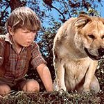 Today I Learned About The Anti-Vaccinating Dog Movement