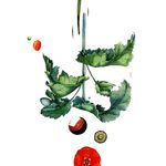 Madame Clairevoyant: August Horoscopes