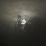 The Wendigo