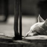 Mashup Feelings: A List
