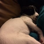 Link Roundup!