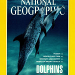 Upcoming Cover Stories For <em>National Geographic</em> Now That Rupert Murdoch Owns It