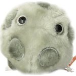 So, You Have an STD: The HPV Edition