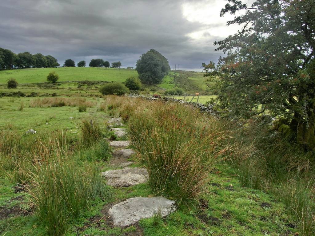dartmoor-200587_1280
