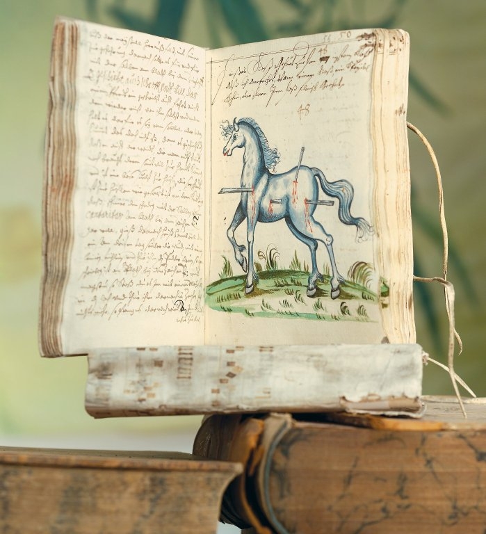 horse3