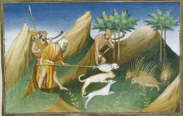dogs10