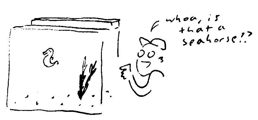 fish_tank