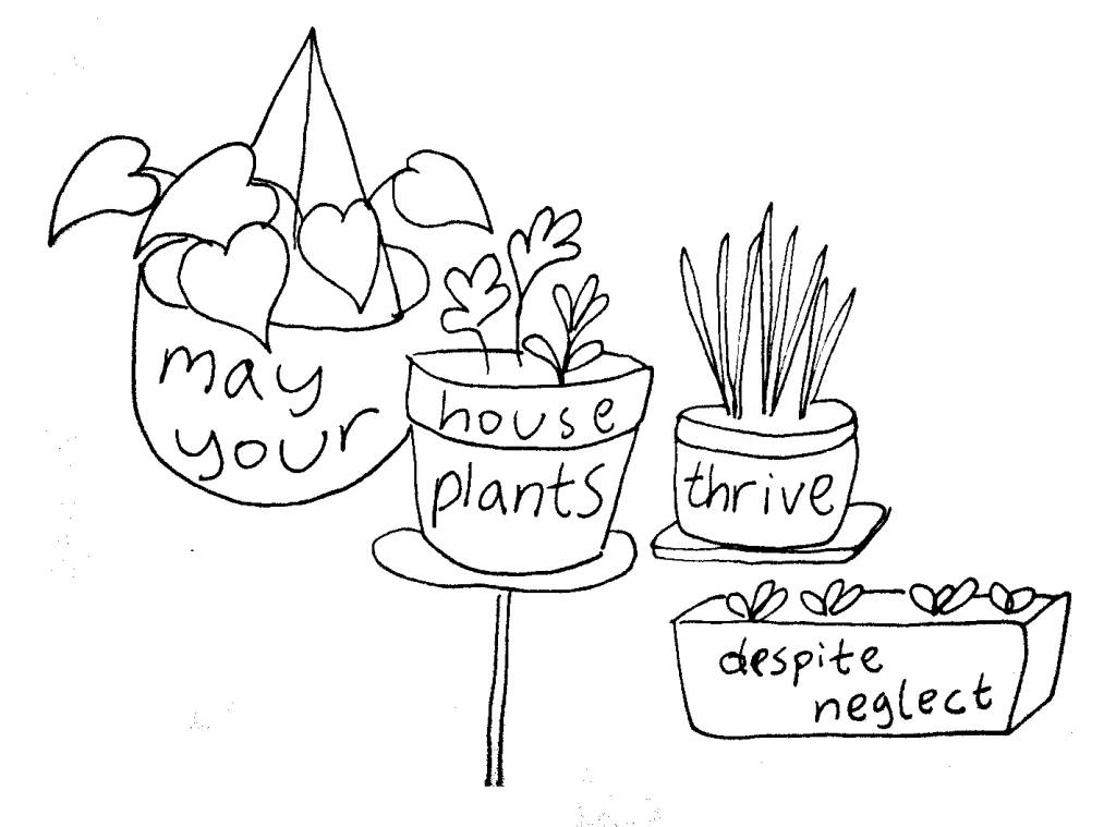 houseplants