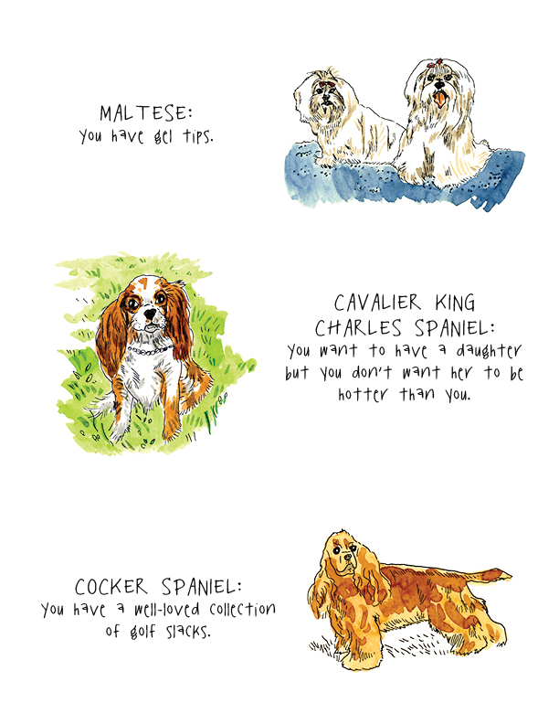 Coyne Toast Breeds3