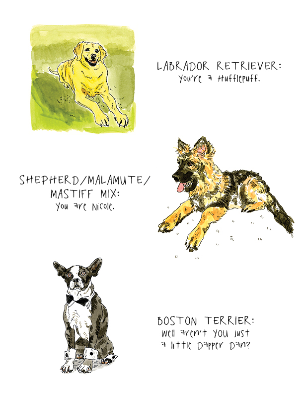 Coyne Toast Breeds5