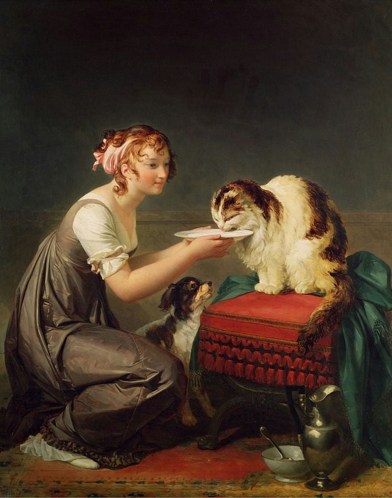 cat1