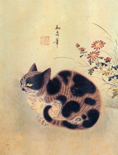 cat11